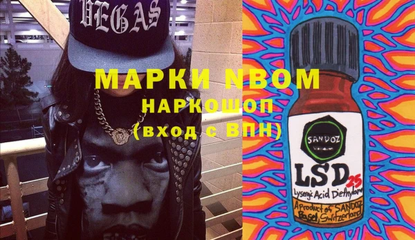 ПСИЛОЦИБИНОВЫЕ ГРИБЫ Абаза