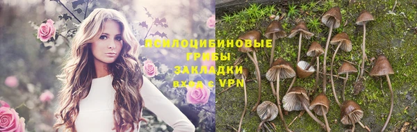 круглые Арсеньев