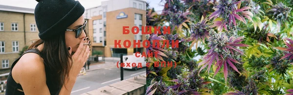 ПСИЛОЦИБИНОВЫЕ ГРИБЫ Абаза